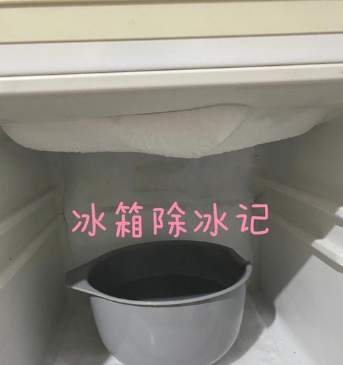 冰箱背后管道结冰的处理方法（解决冰箱背后管道结冰问题的有效技巧）